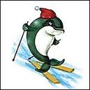 Праздники Дельфинчик на лыжах - олимпиада в Сочи аватар