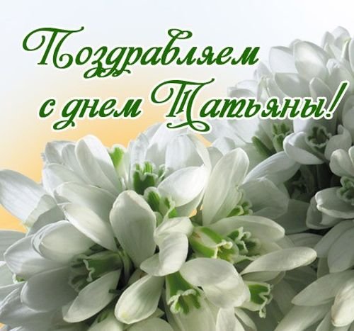 Праздники Поздравляем с днем Татьяны! Весенние цветы аватар
