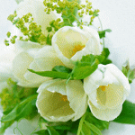 Цветы Весенние цветы аватар
