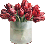 Цветы Тюльпаны цветы аватар