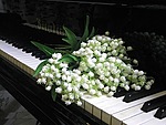 Цветы Подснежники на пианино аватар