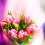 Цветы Нежный букет розовых тюльпанов аватар
