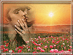 Цветы Поцелуй влюблённых на фоне поля тюльпанов и яркого солнца аватар