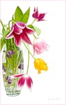 Цветы Тюльпаны спускаются из вазы аватар