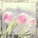 Цветы Три розовых тюльпана аватар