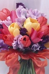 Цветы Нежный букет тюльпанов аватар