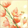 Цветы Тюльпаны радуют нас аватар