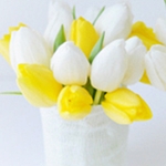 Цветы Тюльпаны белые и желтые в вазе аватар