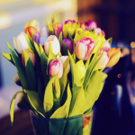 Цветы Тюльпаны в вазе в солнечном свете аватар