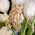 Цветы Кукла среди тюльпанов аватар