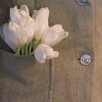 Цветы Букет тюльпанов выглядывает из кармана аватар