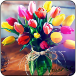 Цветы Тюльпаны в вазе (flowers) аватар