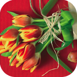 Цветы Тюльпаны  красные на красном аватар