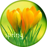 Цветы Тюльпаны (spring) аватар