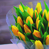 Цветы Желтые тюльпаны упакованы в сеточку аватар