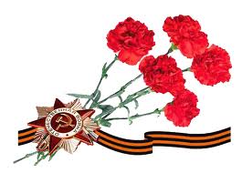 Праздники патриотические Цветы к Дню Победы! Гвоздики аватар