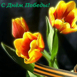 Праздники патриотические Тюльпаны, день победы аватар