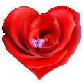 Приветствия Сердечко-роза с бабочкой аватар