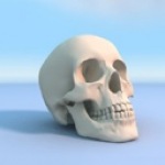 Привидения, скелеты, черти Человеческий череп стоит на голубой поверхности аватар