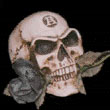 Привидения, скелеты, черти Череп с засохшей розой во рту аватар