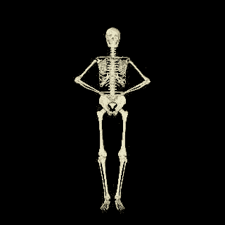 Привидения, скелеты, черти Скелет танцует аватар