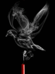 Птицы Голубь из дыма аватар
