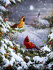 Птицы Зима в лесу. На ветках сидят яркие, красивые птицы аватар