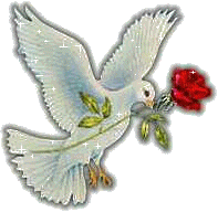 Птицы Переливающийся голубь летит и несет в клюве красную розу аватар