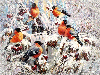 Птицы Зима. Жизнь разнообразят снегири аватар