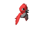 Птицы Красный птенчик аватар