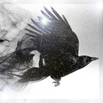 Птицы Летящая черная ворона оставляющая за собой магический след аватар