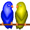 Птицы Влюблённые попугаи аватар