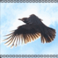 Птицы Ворон в солнечный день аватар