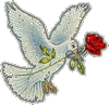 Птицы Белый голубь с розой аватар