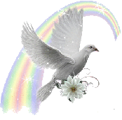 Птицы Голубь на фоне радуги аватар