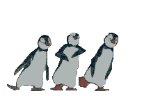 Птицы И пингвины умеют танцевать! аватар