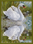 Птицы Лебеди отражается в воде. он прекрасен аватар