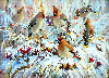 Птицы Зимний лес. Птицы на заснеженных ветках аватар