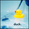 Птицы Желтая утка (duck.) аватар