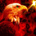Птицы Огненный орел аватар