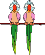 Птицы Два попугая аватар