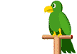 Птицы Зеленый попка аватар
