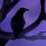 Птицы Ворон в ночи аватар
