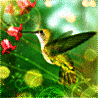Птицы Колибри попивает нектар из красивого цветка. приятного! аватар