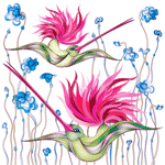 Птицы Колибри у цветов аватар