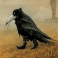 Птицы Ворон шагает по осеннему лесу в сапожках аватар