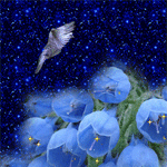 Птицы Голубь над синими тюльпанами аватар