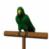 Птицы Зеленый попугай аватар