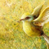 Птицы Колибри желтая аватар