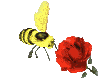 Пчелы Пчела над красным цветком аватар
